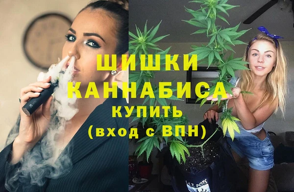 винт Наволоки