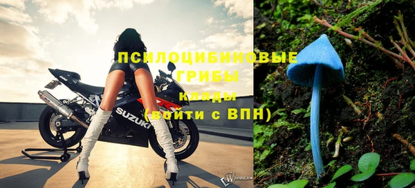 стаф Навашино