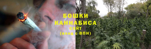 PSILOCYBIN Анива