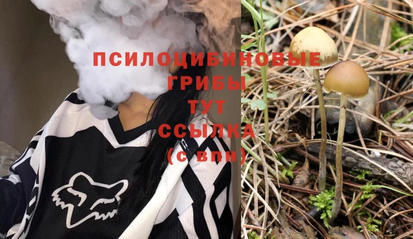 a pvp Надым